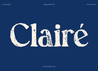 CS Chaya Stamp Font preview image 2