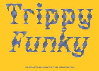 CS Chimera Stitched Font preview image 3