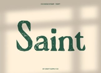 CS Chizue Stamp Font preview image 3