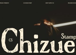 CS Chizue Stamp Font preview image 1