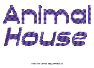 CS Climate Stitched Font preview image 2
