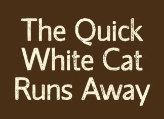 CS Cofa Stamp Font preview image 3