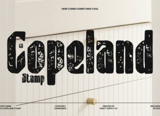 CS Copeland Stamp Font preview image 1