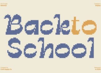CS Crupie Stitched Font preview image 2