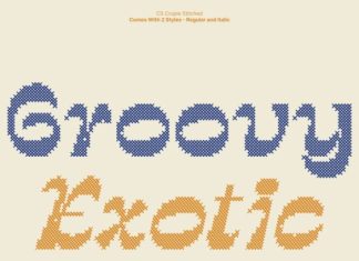 CS Crupie Stitched Font preview image 3