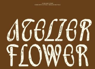 CS Delaney Stamp Font preview image 3