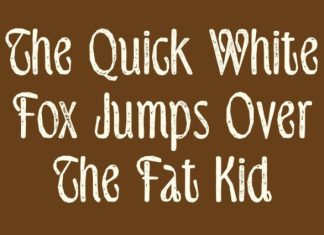 CS Delaney Stamp Font preview image 2
