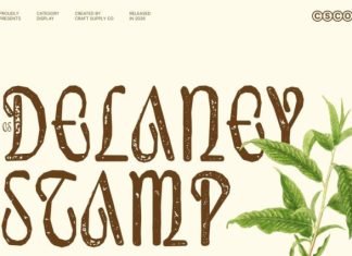 CS Delaney Stamp Font preview image 1
