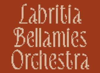 CS Delaney Stitched Font preview image 3