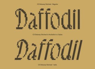CS Delaney Stitched Font preview image 2
