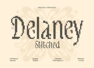 CS Delaney Stitched Font preview image 1