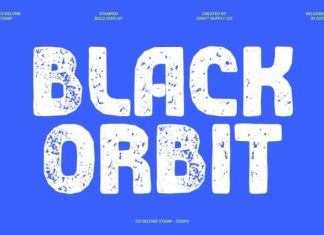 CS Delfine Stamp Font preview image 3