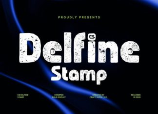 CS Delfine Stamp Font preview image 1