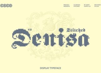 CS Denisa Stitched Font preview image 1