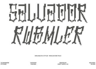CS Densmore Stitched Font preview image 3