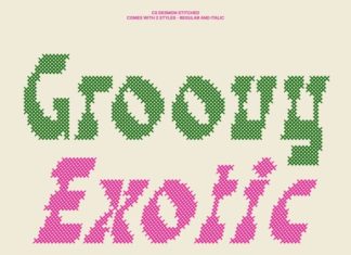 CS Desmon Stitched Font preview image 2