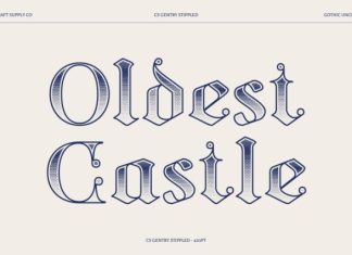 CS Gentry Stippled Font preview image 3