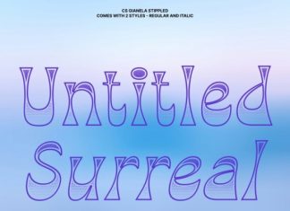 CS Gianela Stippled Font preview image 2