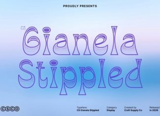CS Gianela Stippled Font preview image 1