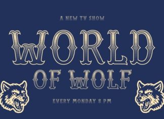 CS Gleam Stippled Font preview image 2