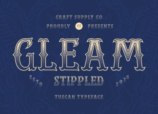 CS Gleam Stippled Font preview image 1