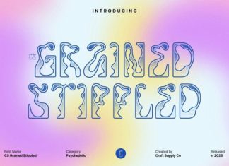 CS Grained Stippled Font preview image 1