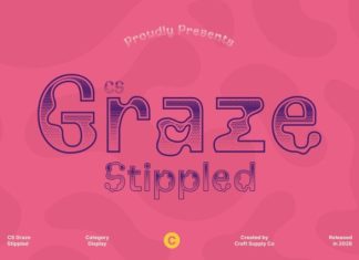 CS Graze Stippled Font preview image 1