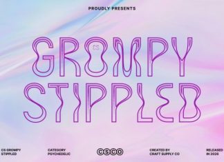 CS Grompy Stippled Font preview image 1