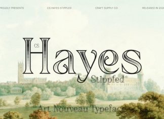 CS Hayes Stippled Font preview image 1