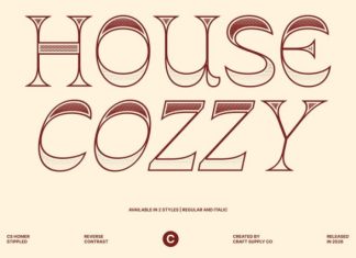 CS Homer Stippled Font preview image 3