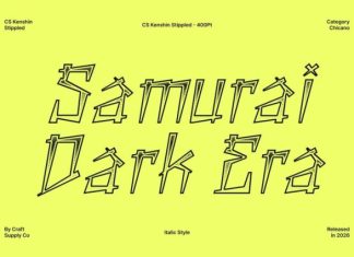 CS Kenshin Stippled Font preview image 2