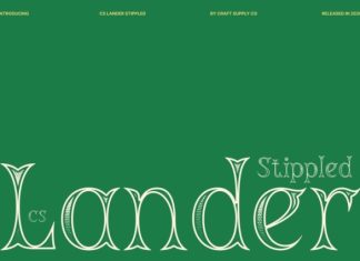 CS Lander Stippled Font preview image 1