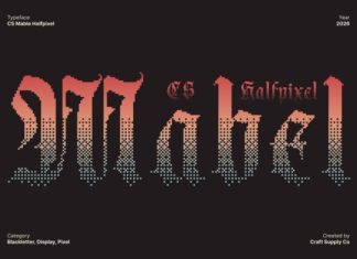 CS Mabel Halfpixel Font preview image 1