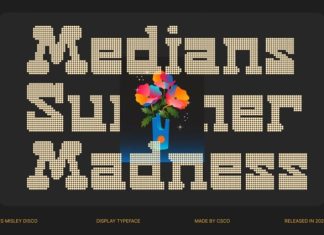 CS Misley Disco Font preview image 2