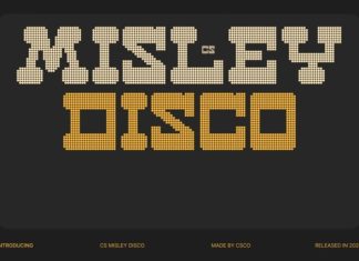 CS Misley Disco Font preview image 1