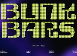 CS Rexa Disco Font preview image 3