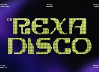 CS Rexa Disco Font preview image 1