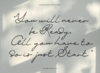 CS Salvia Disco Font preview image 3