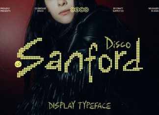CS Sanford Disco Font preview image 1