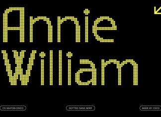 CS Seaton Disco Font preview image 2