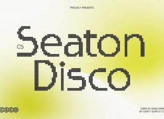 CS Seaton Disco Font preview image 1