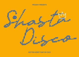 CS Shasta Disco Font preview image 1