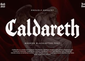 Caldareth Font preview image 1