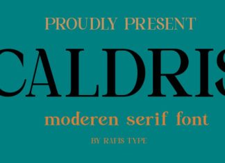 Caldris Font preview image 1