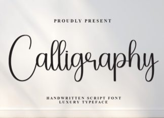 Calligraphy Font preview image 1
