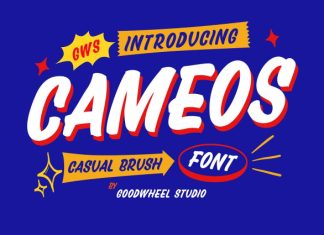 Cameos Font preview image 1