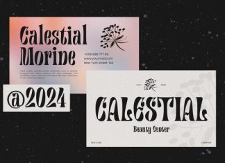 Canistel Font preview image 3