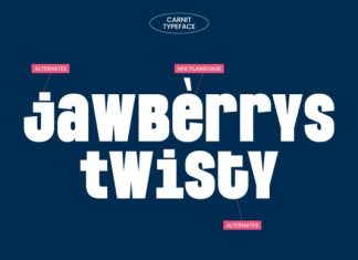 Carnit Font preview image 2