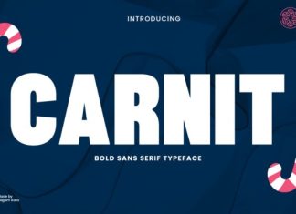 Carnit Font preview image 1