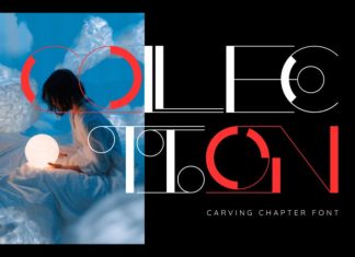 Carving Chapter Font preview image 2